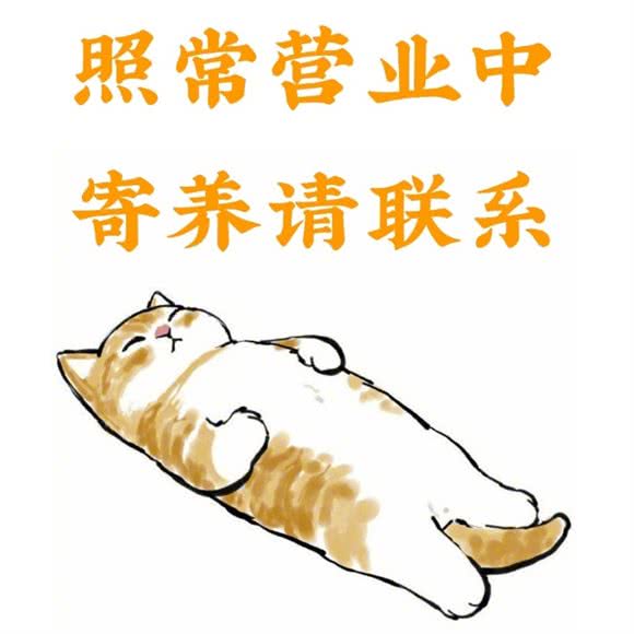 猫巴适家庭寄养:成都市武侯区科华北路附近
