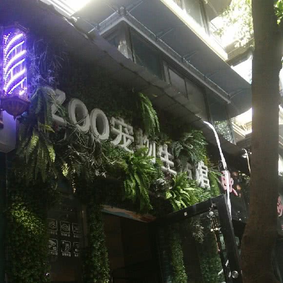 zoo宠物生活馆:成都市武侯区科华北路附近