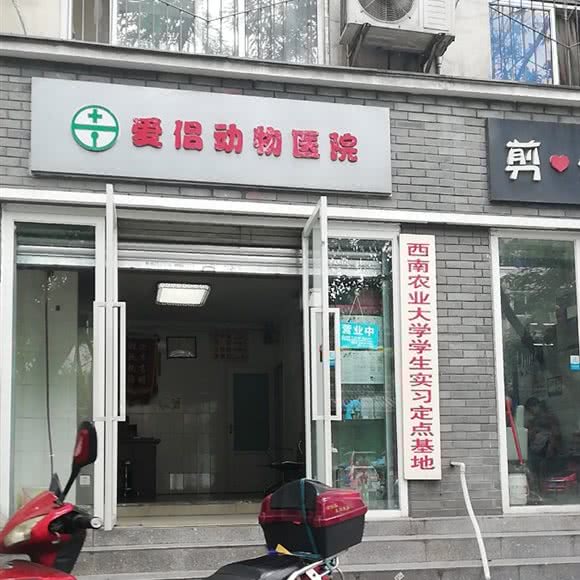 爱侣动物医院(林荫街店):成都市武侯区科华北路附近