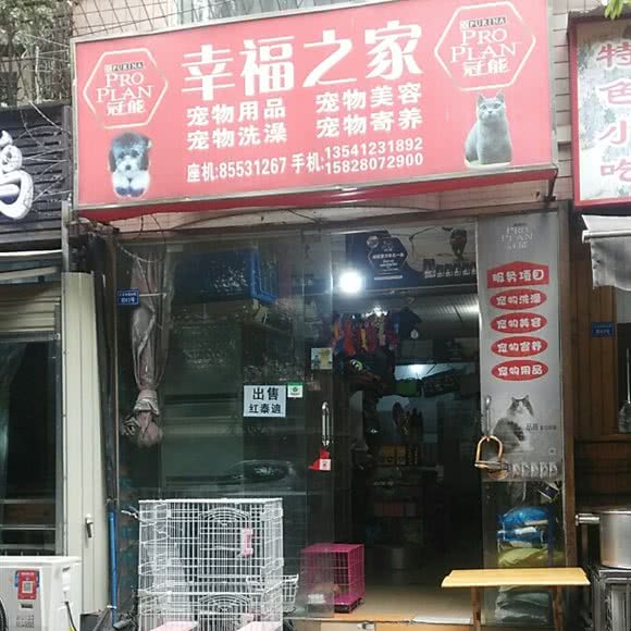 幸福之家:成都市武侯区玉林/芳草街附近