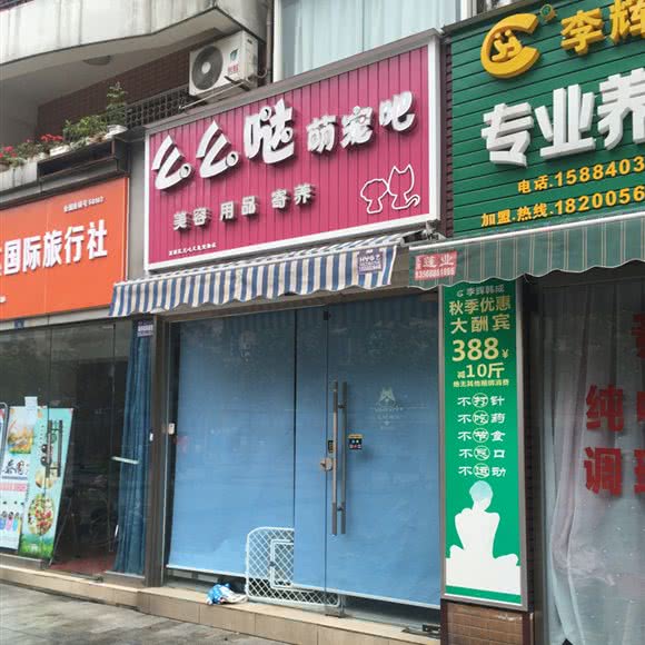 么么哒萌宠啦:成都市武侯区玉林/芳草街附近