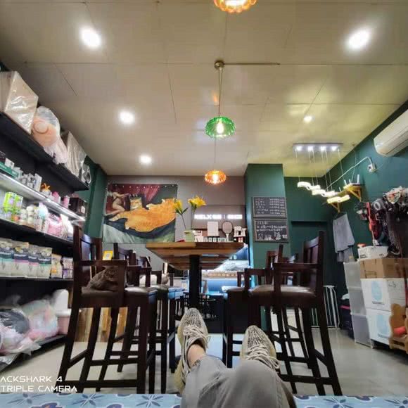 冠能宠物记(玉林店):成都市武侯区玉林/芳草街附近