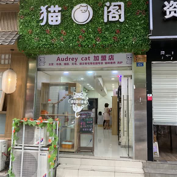 猫阁:成都市武侯区双楠附近