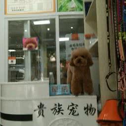 贵族宠物(龙安街店):成都市武侯区双楠附近