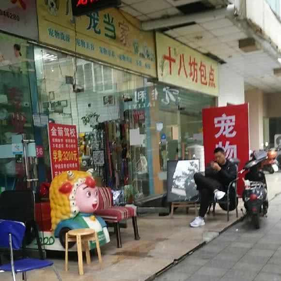 小宠当家面包店:成都市武侯区双楠附近
