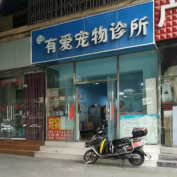 有爱宠物诊所:成都市武侯区双楠附近
