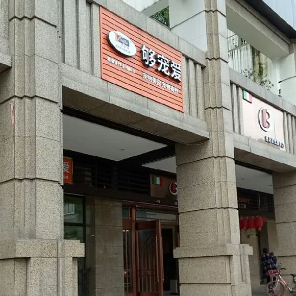 够宠爱:成都市武侯区桐梓林附近