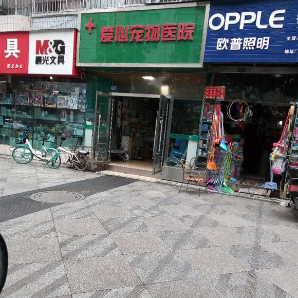 爱心宠物医院:成都市武侯区桐梓林附近