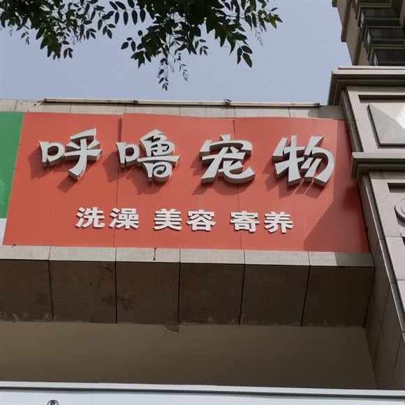 呼噜宠物:石家庄市桥西区中山西路附近