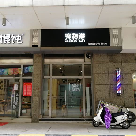 宠物港(恒大店):石家庄市桥西区中山西路附近