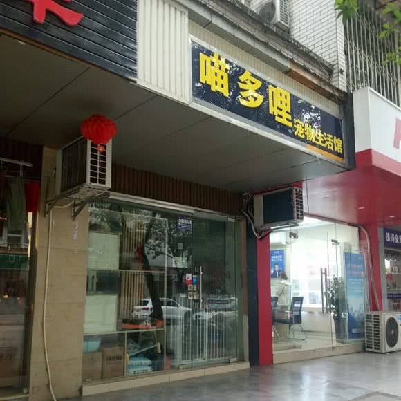 喵多哩宠物生话馆:成都市武侯区合江亭附近