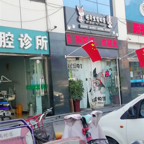 喵先生宠物馆:石家庄市桥西区中山西路附近