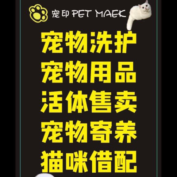 嗨皮猪の宠物屋:成都市武侯区龙湖金楠天街附近