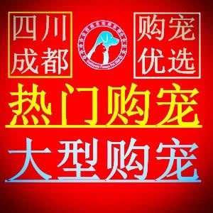 购宠商城?CKU宠物协会西南名宠俱乐部:成都市武侯区龙湖金楠天街附近