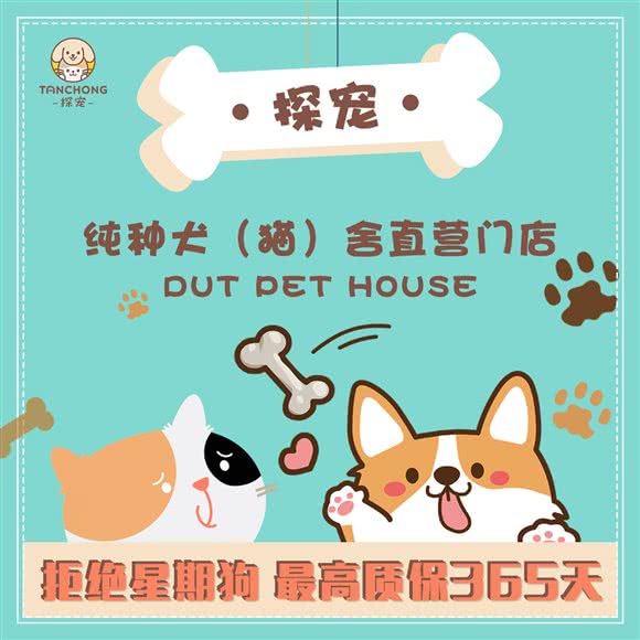 都米宠物·纯种犬(大悦城店):成都市武侯区中粮大悦城附近