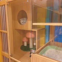 猫狗士多:成都市武侯区中粮大悦城附近