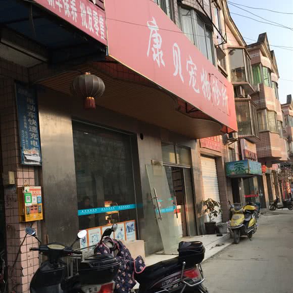 康贝宠物诊所(龙井西街店):成都市武侯区簇桥附近