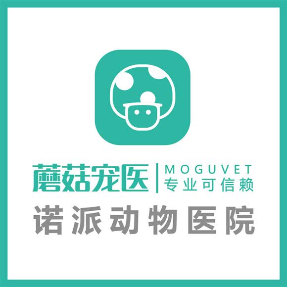 蘑菇宠医·诺派动物医院:成都市武侯区簇桥附近