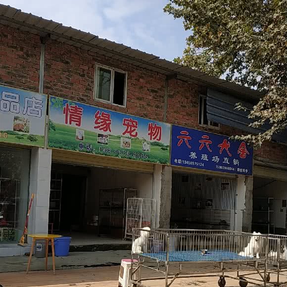 情缘宠物:成都市武侯区机投附近