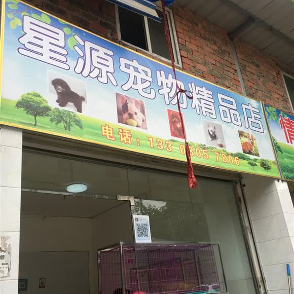 星源宠物:成都市武侯区机投附近