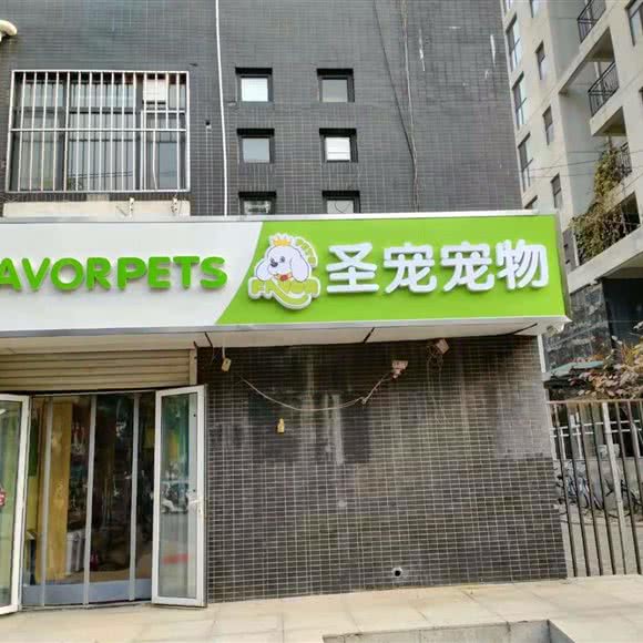 圣宠宠物(盛世天骄店):石家庄市桥西区中山西路附近