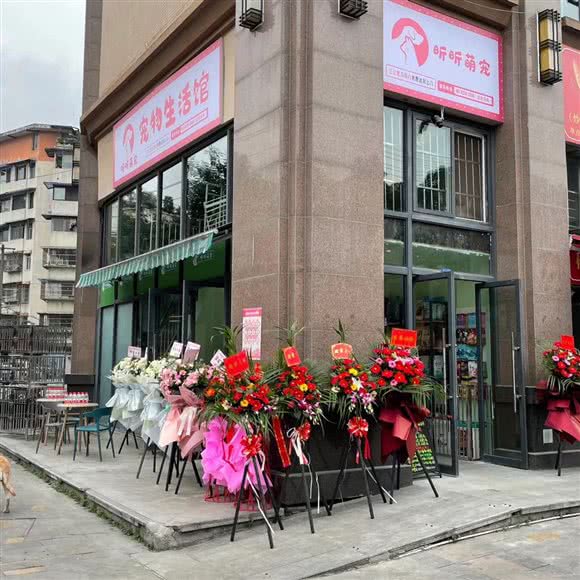 昕昕萌宠 宠物生活馆:成都市武侯区五大花园附近