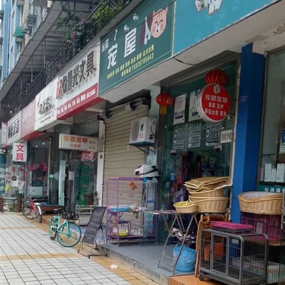 宠屋:成都市武侯区五大花园附近