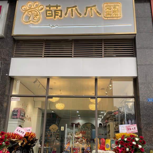 萌爪子爪宠物生活:成都市武侯区火车南站附近