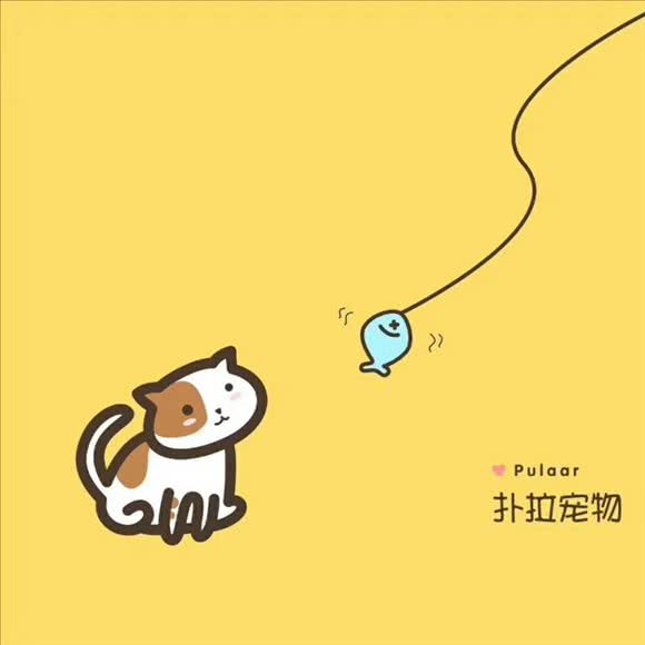 扑拉宠物猫舍:成都市武侯区汇锦城/铁像寺附近