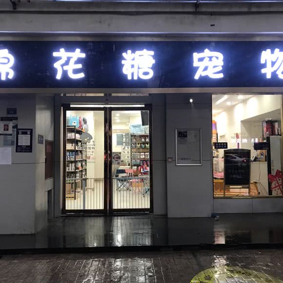 棉花糖狗狗:成都市武侯区鹭岛国际附近