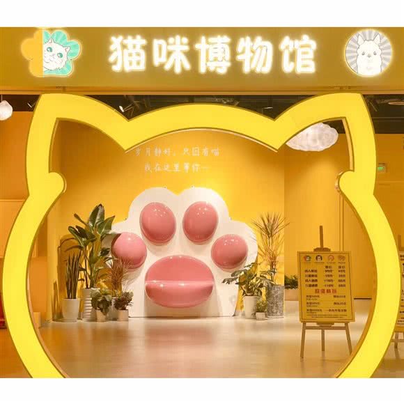 猫咪博物馆&神兽羊驼馆:成都市武侯区银泰城附近