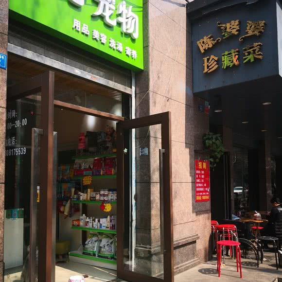 一心宠物狗:成都市武侯区大石路附近