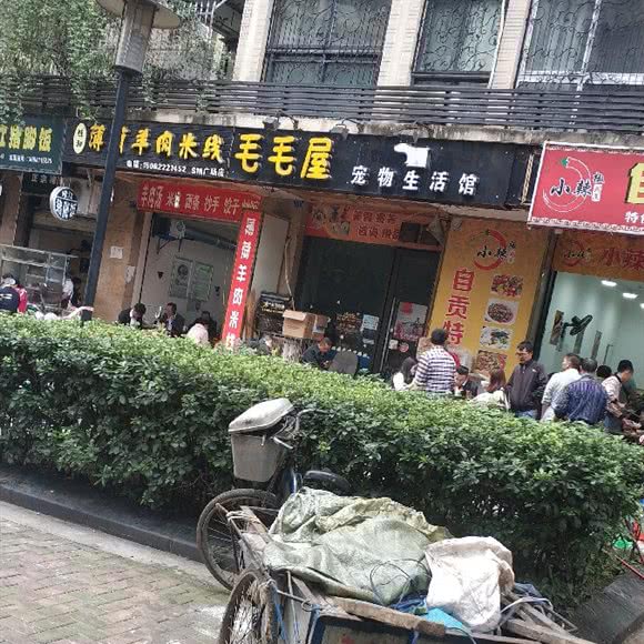 毛毛屋宠物生活馆:成都市成华区建设路/电子科技大学附近
