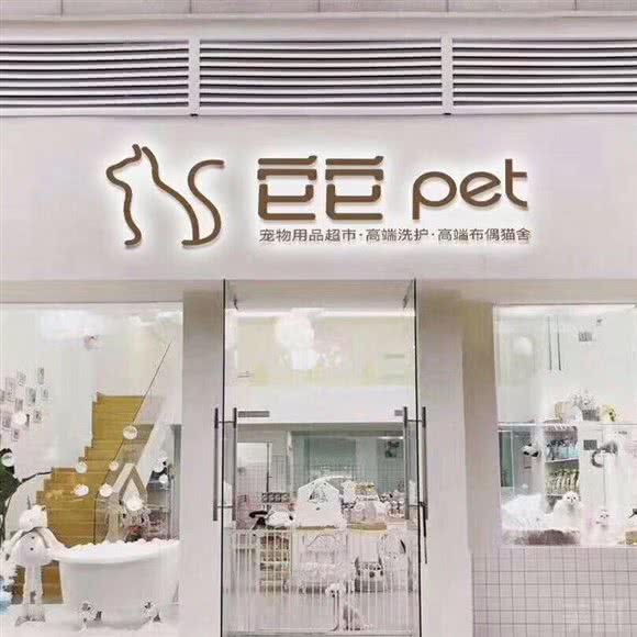 它它pet宠物·猫舍:成都市成华区建设路/电子科技大学附近