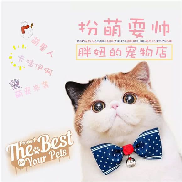 胖妞的宠物店:成都市成华区建设路/电子科技大学附近