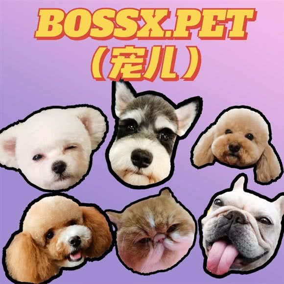 bossx.宠儿:成都市成华区建设路/电子科技大学附近