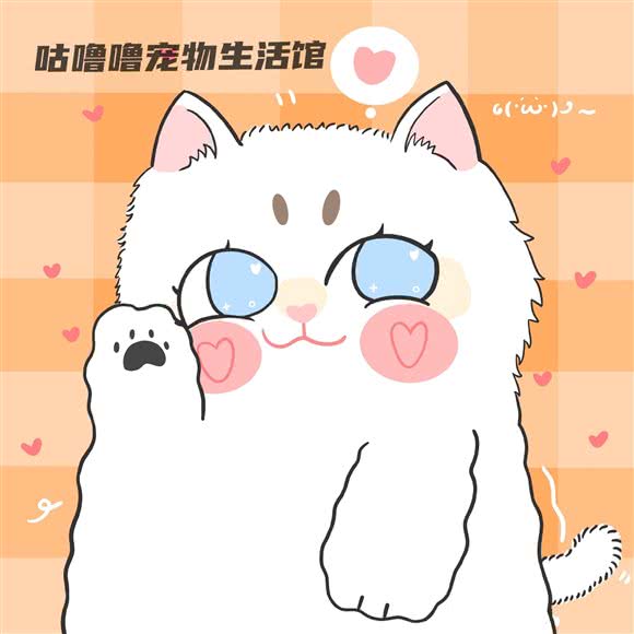 咕噜噜宠物生活馆:成都市成华区建设路/电子科技大学附近