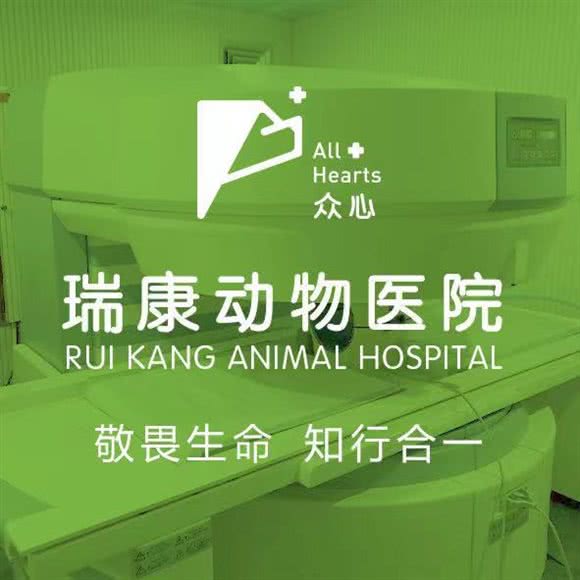 众心?瑞康动物医院(荣盛广场店):石家庄市桥西区中山西路附近
