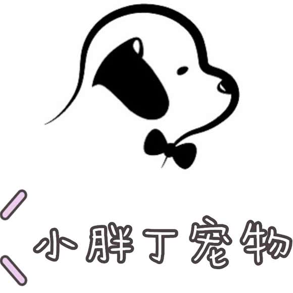 小胖丁宠物:成都市成华区双林路附近