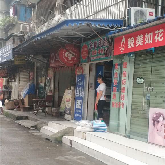 巧巧爱宠:成都市成华区双林路附近