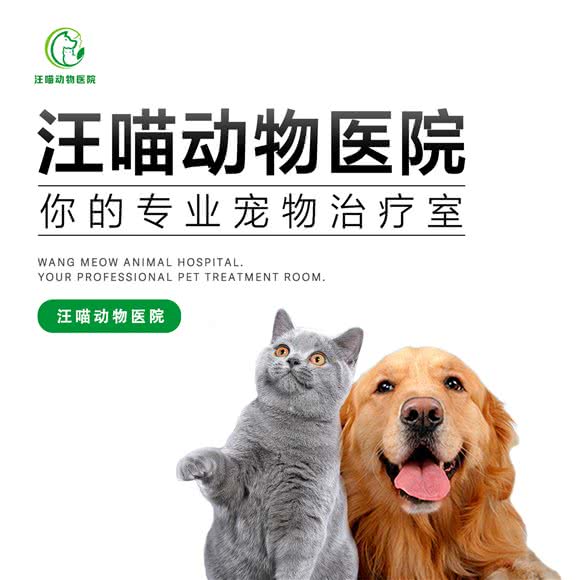 汪喵动物医院(成华区店):成都市成华区双林路附近
