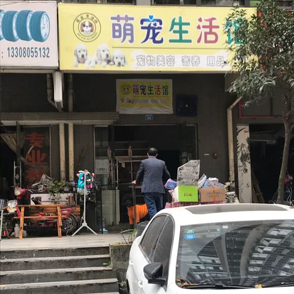 萌宠生活馆:成都市成华区驷马桥/动物园附近