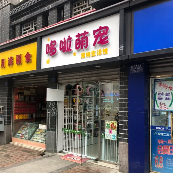 哆啦萌宠:成都市成华区驷马桥/动物园附近