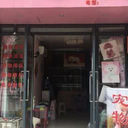 YoYo悠悠爱宠:成都市成华区驷马桥/动物园附近