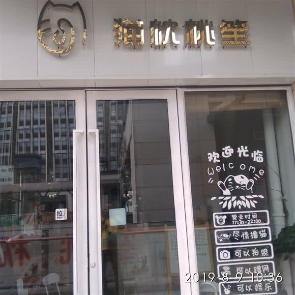 猫枕桃笙:成都市成华区驷马桥/动物园附近
