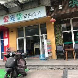 爱宠堂宠物诊所:成都市成华区驷马桥/动物园附近
