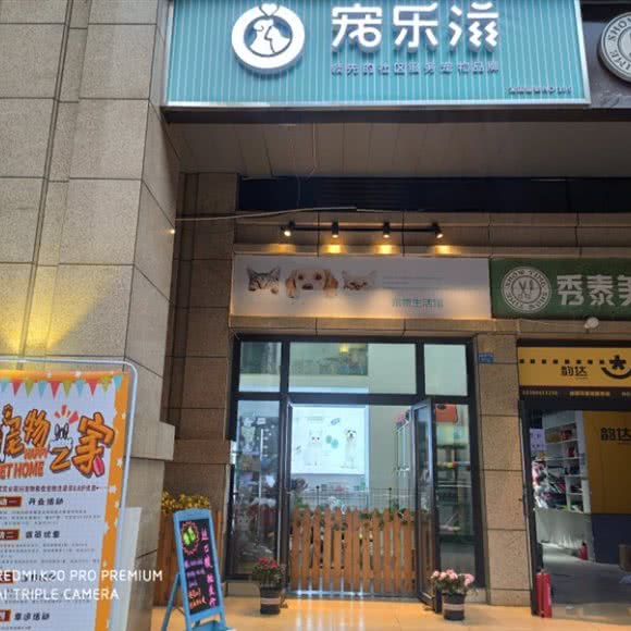 宠乐滋:成都市成华区李家沱附近