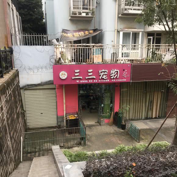 七三宠物:成都市成华区成渝立交附近