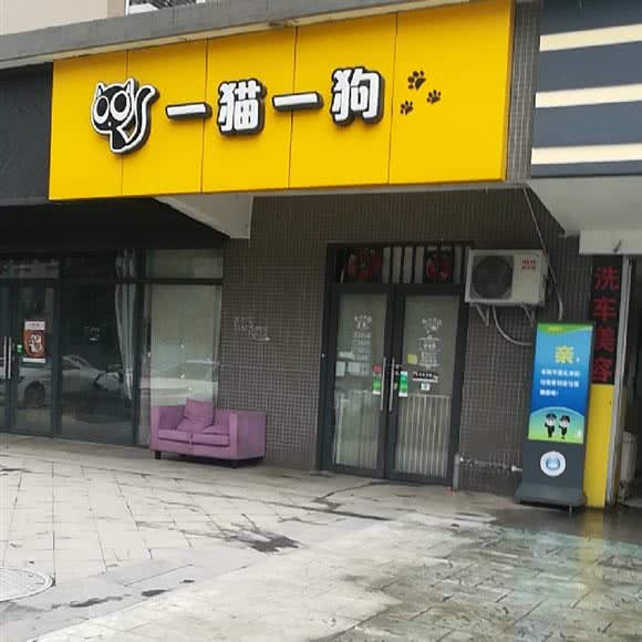 一猫一猴子:成都市成华区万年场/万象城附近