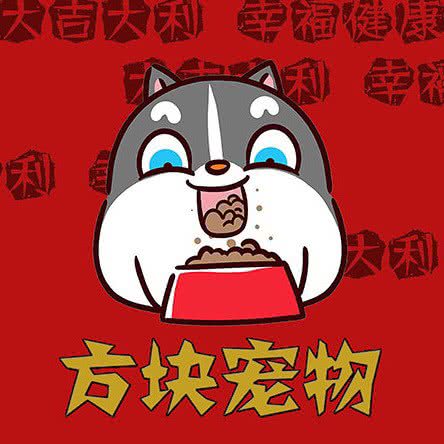 方块宠物:石家庄市桥西区北国商城附近